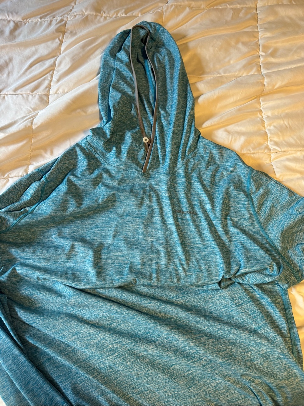 Patagonia Heathered Teal Blue Hooded Pullover